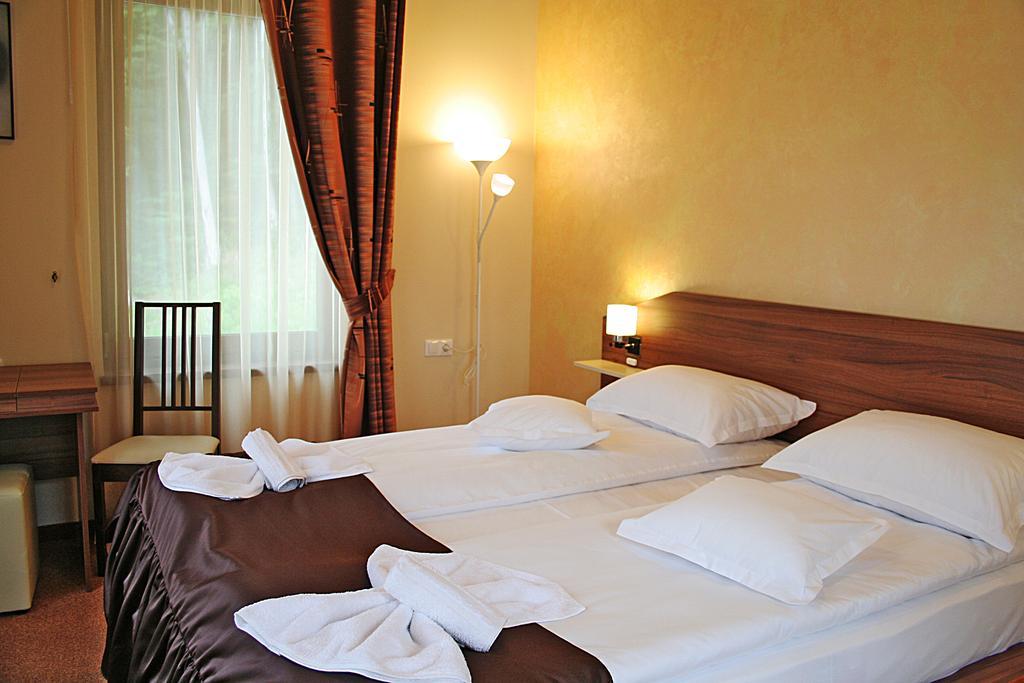 Vila Silvia Sovata Room photo