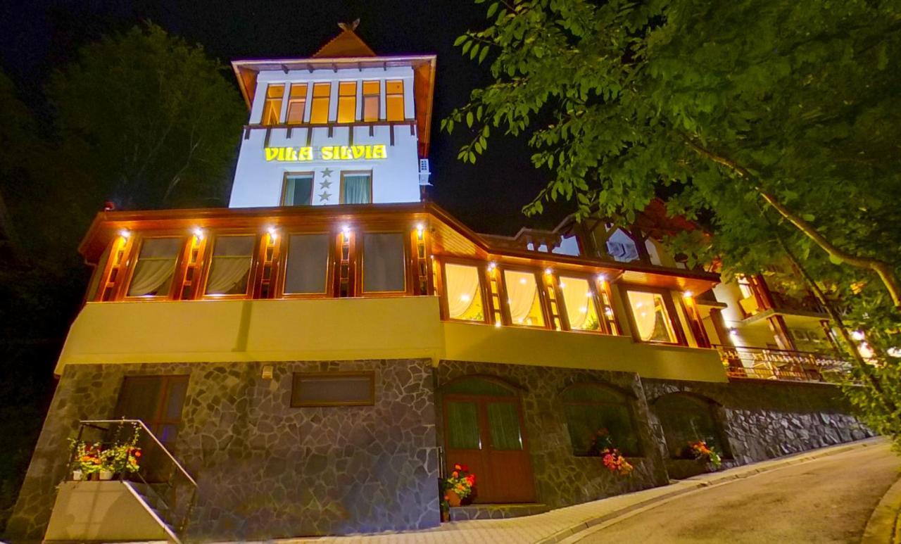 Vila Silvia Sovata Exterior photo