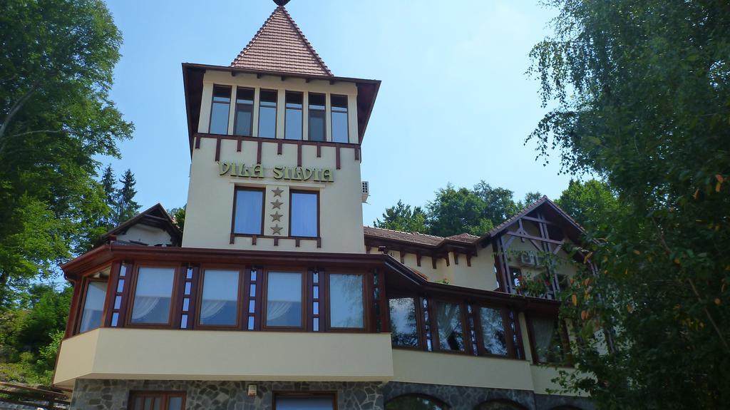 Vila Silvia Sovata Exterior photo