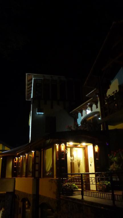 Vila Silvia Sovata Exterior photo