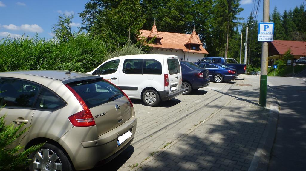 Vila Silvia Sovata Exterior photo