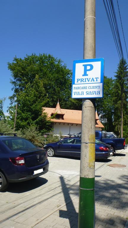 Vila Silvia Sovata Exterior photo
